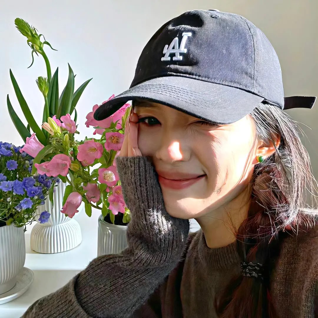 迷蝶