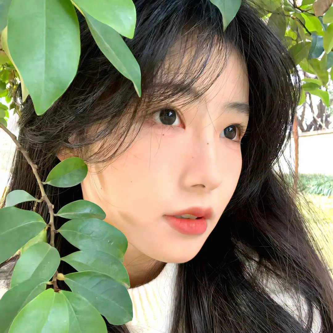 风花